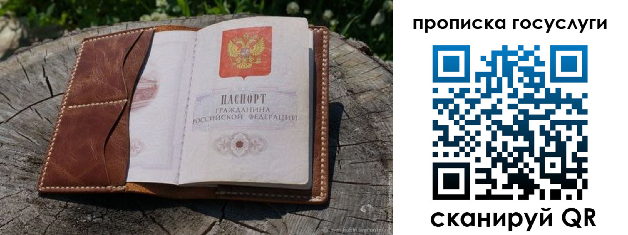прописка для школы в Магаданской области